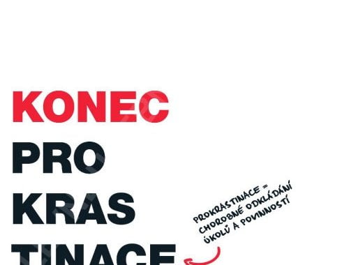 konec-prokrastinace-kniha-petr-ludwig-recenze